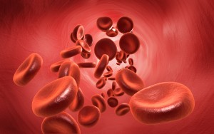 red_blood_cellsiStock_000016507846_Large